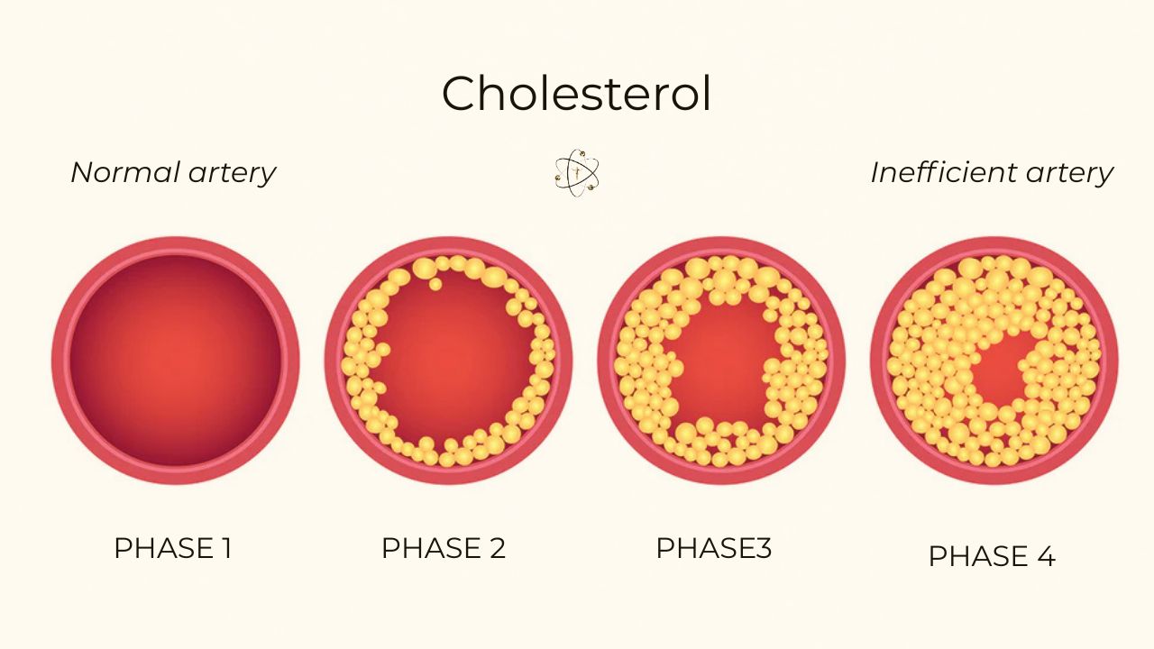 healthy cholesterol levels