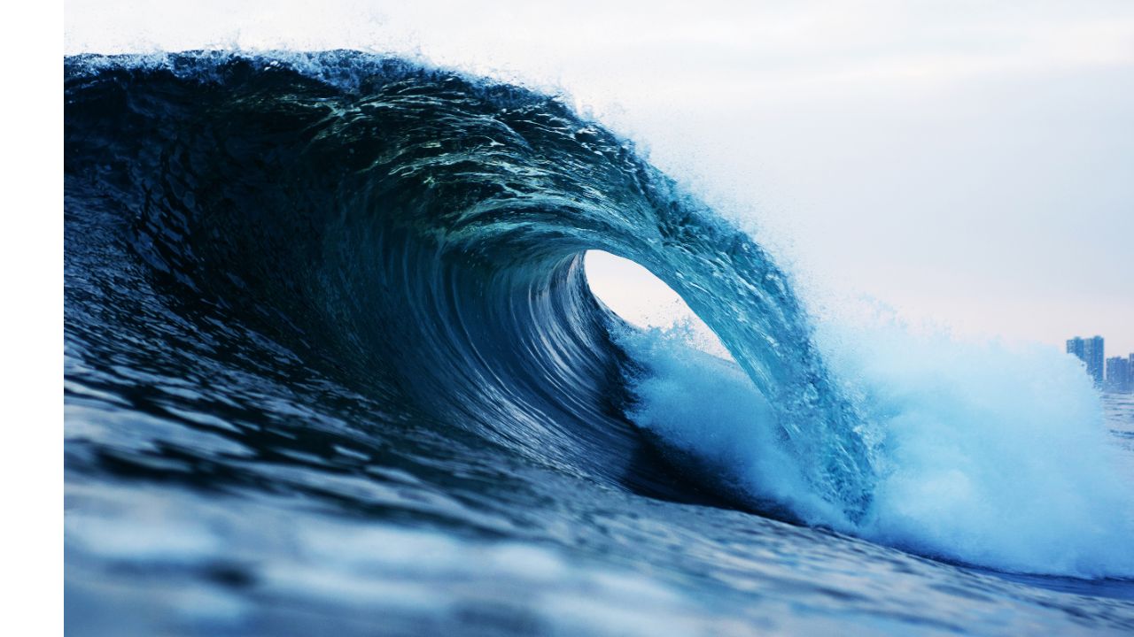 Mental fitness with Zlife