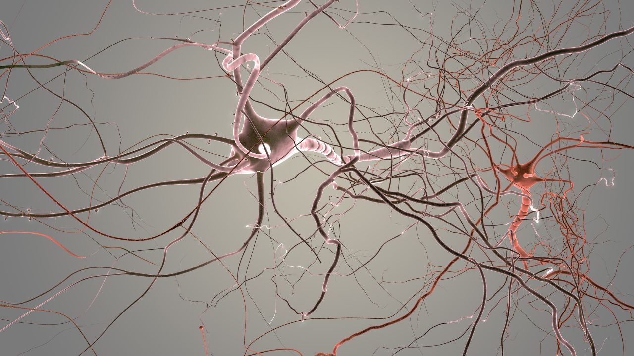 vo2 max for brain health