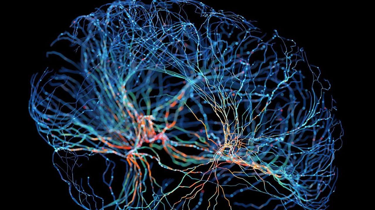 vo2 max and brain health