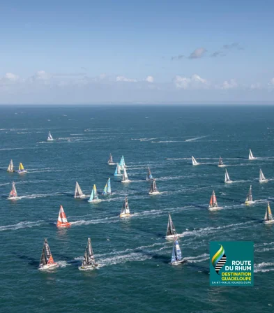Route du Rhum Destination Guadeloupe : voiliers en mer