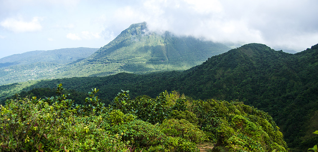 Paysage de montagnes verdoyantes et forêt tropicale dans l’île de la Dominique, Caraïbes