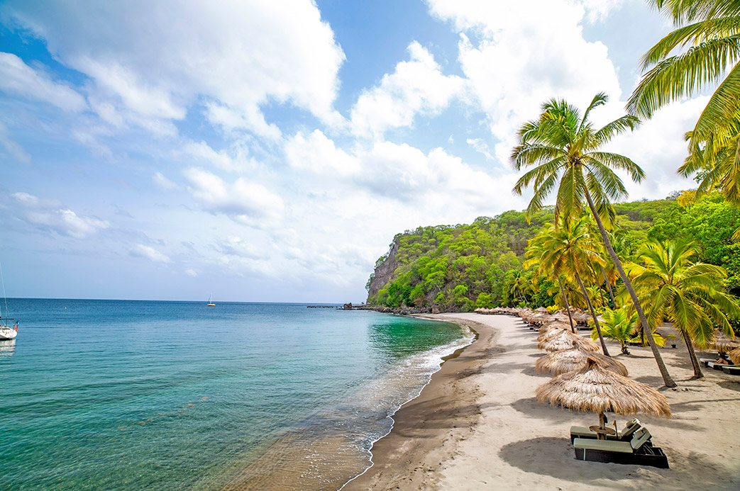 Plage de sable bordée de palmiers et transats avec parasols en chaume à Anse Chastanet, Sainte-Lucie dans les Caraïbes