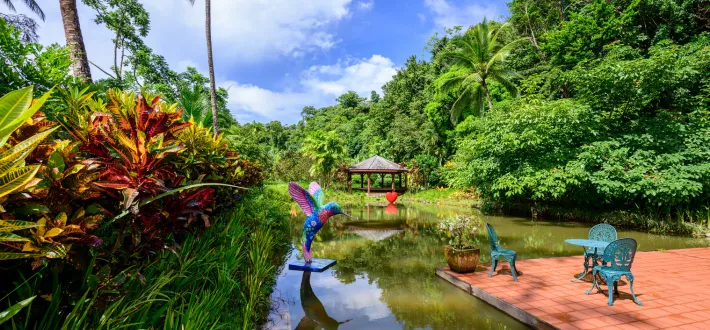 Jardin Botanique de Valombreuse