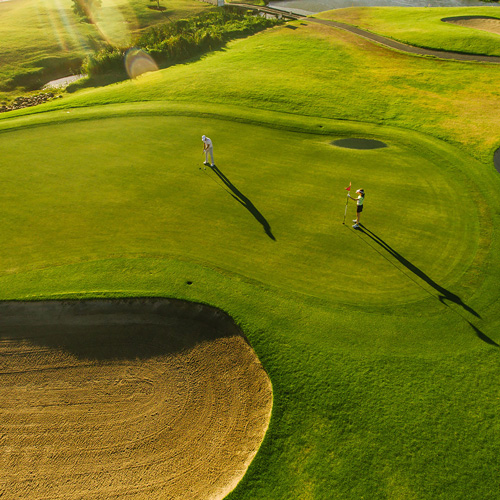 Un terrain de golf verdoyant s'étendant à perte de vue, entouré de nature.