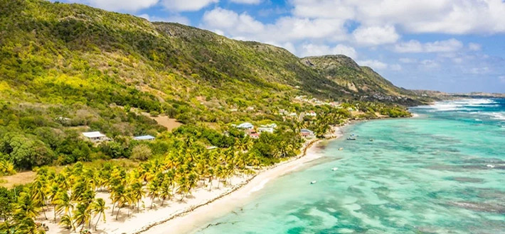 Vue aérienne de la plage et de la forêt tropicale des Caraïbes, montrant des eaux turquoise et une végétation luxuriante.