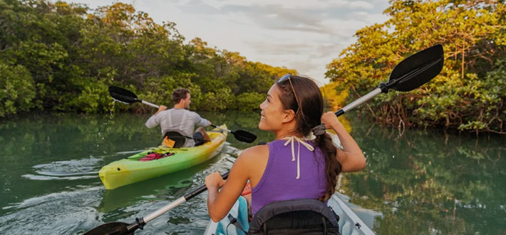Un couple pagayant dans des kayaks sur une rivière calme, entouré de mangrove.