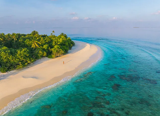 Una playa paradisíaca y una laguna de aguas turquesas en Guadalupe, en el Caribe