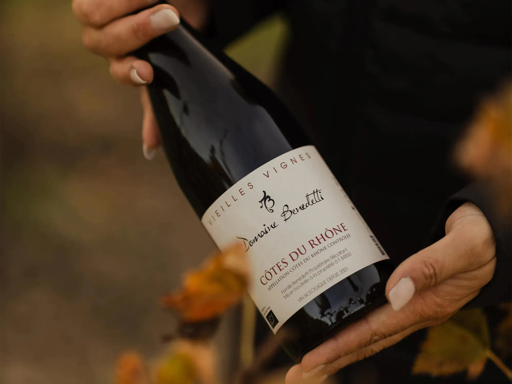 Une bouteille de vin est tenue par une personne.