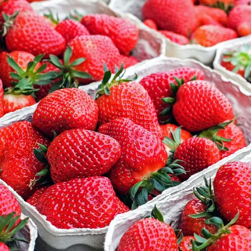 A.J & C.I Snell - Square image 6