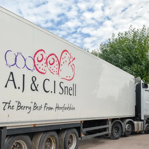 A.J & C.I Snell - Square image 3