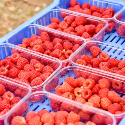 A.J & C.I Snell - Square image 3