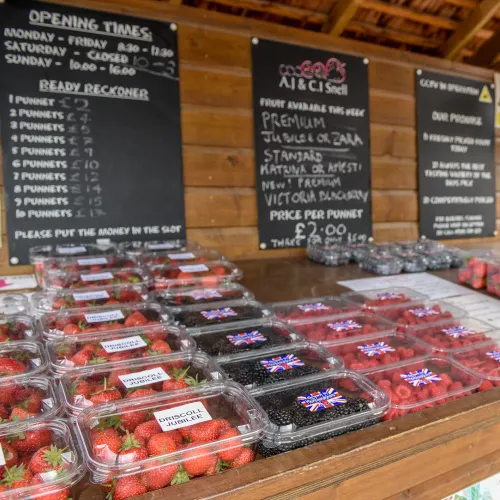 A.J & C.I Snell - square image 3