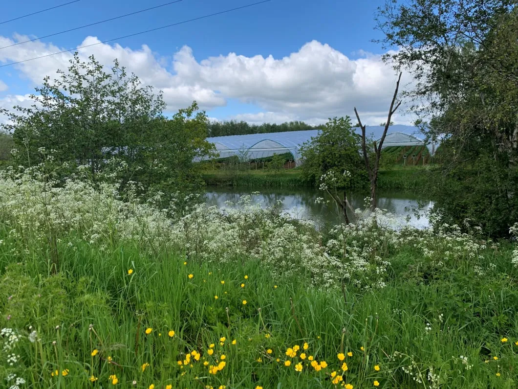 Forrest optical - large image with glasses