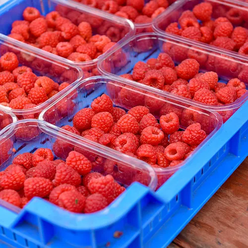 A.J & C.I Snell - Square image 3