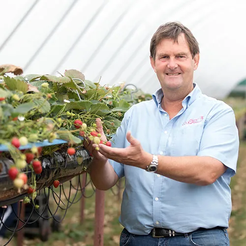 A.J & C.I Snell - square image 4