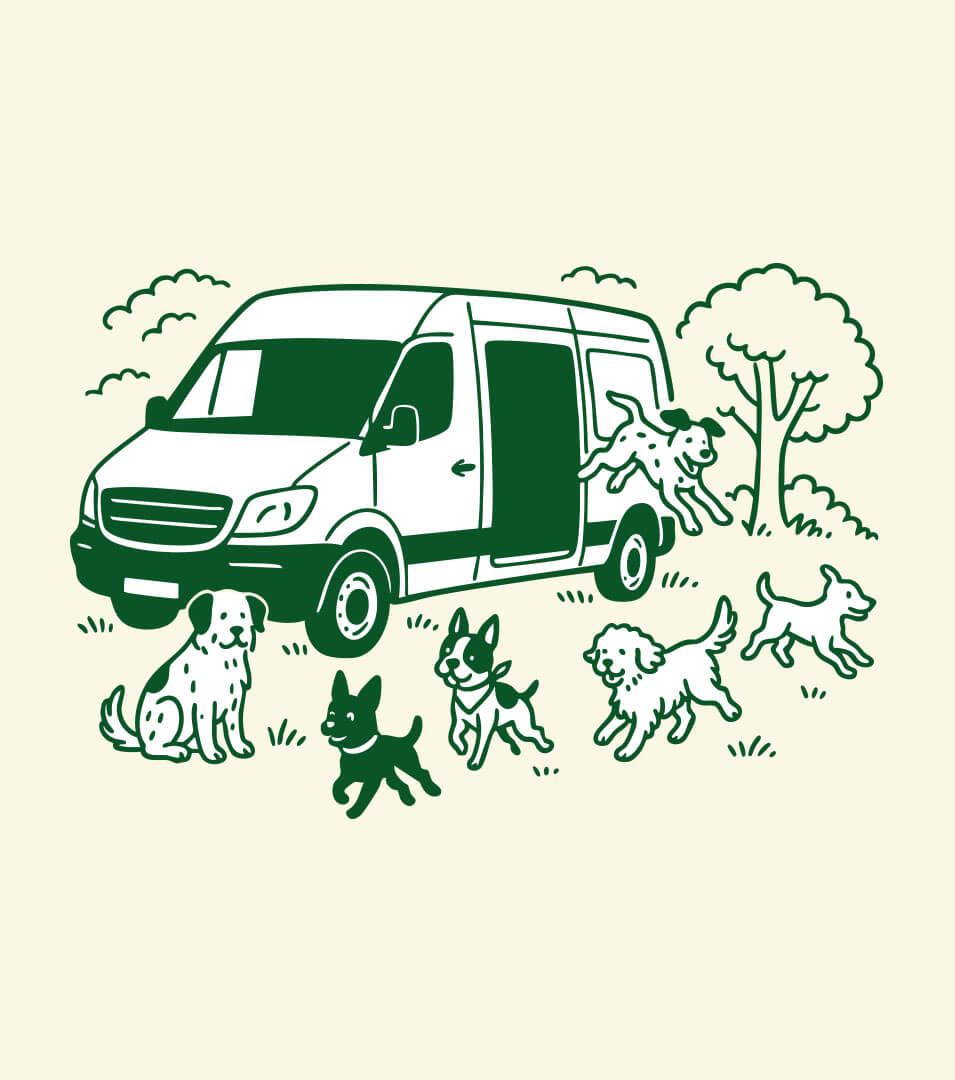 Illustrations for the client.