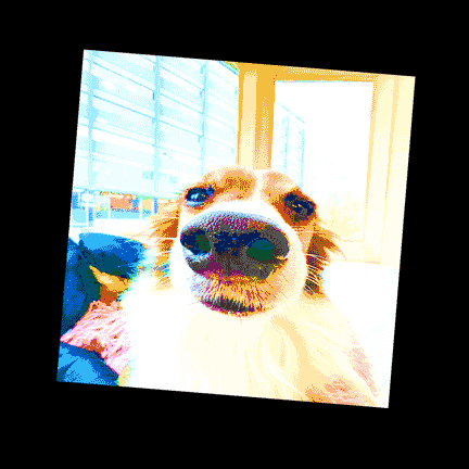 GIF of Alf and Pickle lol