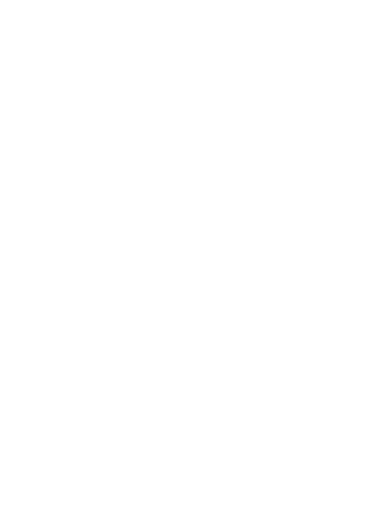 Boro Logo