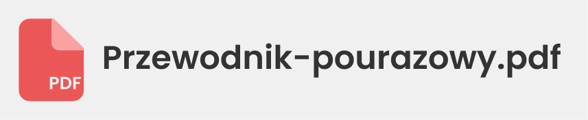 Przewodnik pokazany jako plik pdf który można pobrac