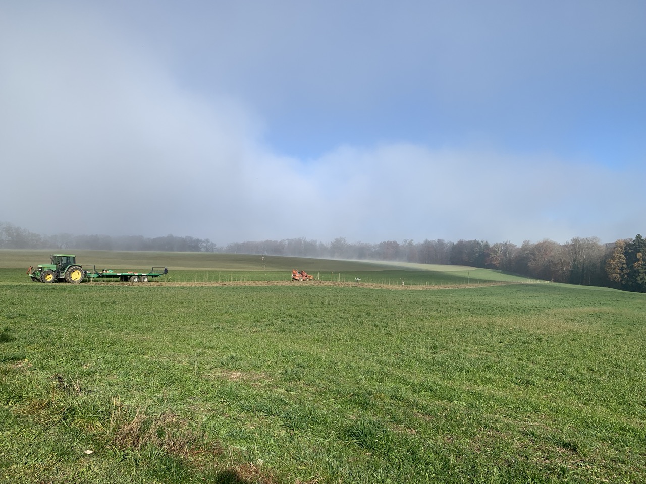 Vue d'ensemble de la haie plantée