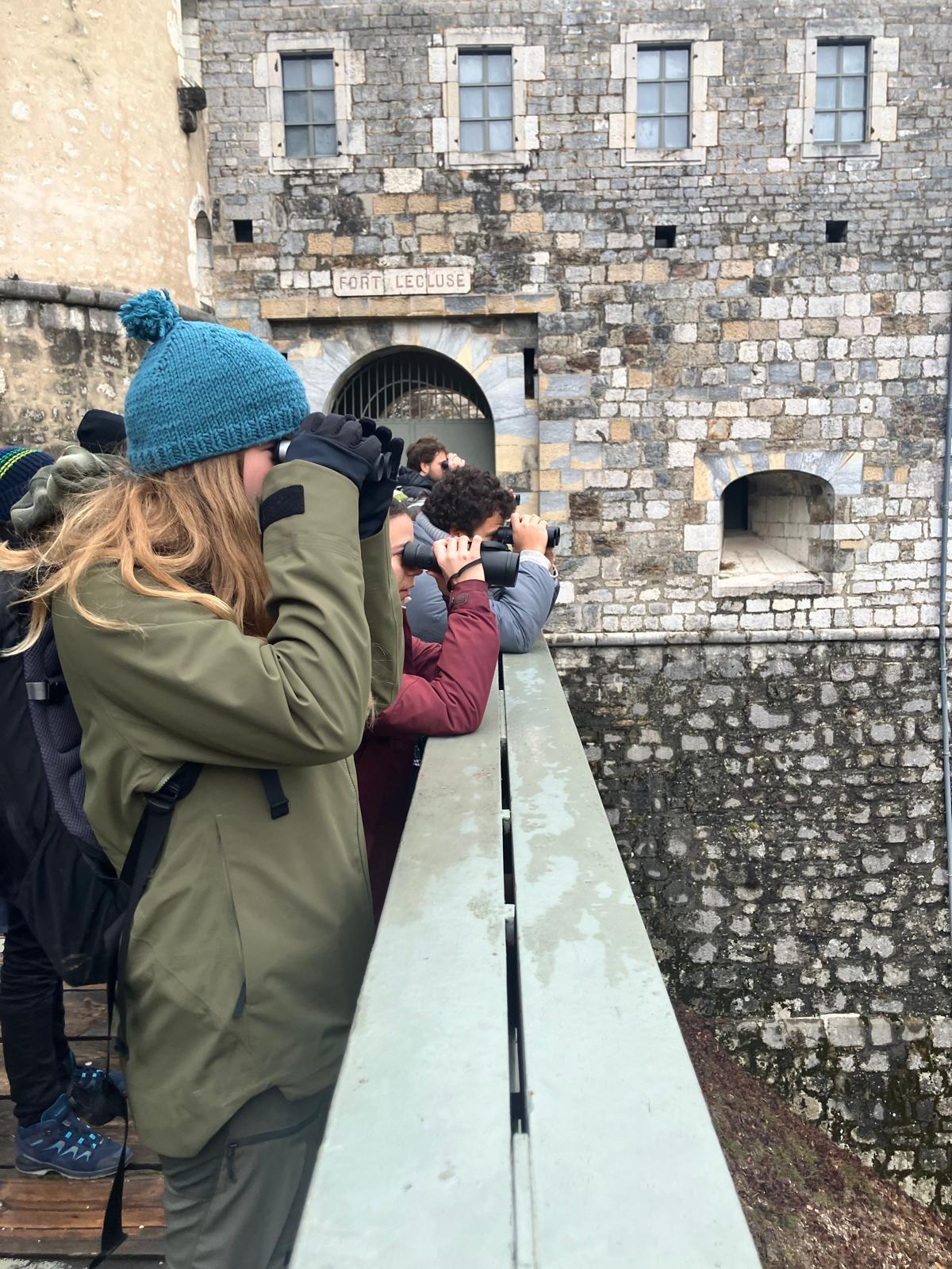 Une sacrée armada de jumelles pour trouver ces ticho !