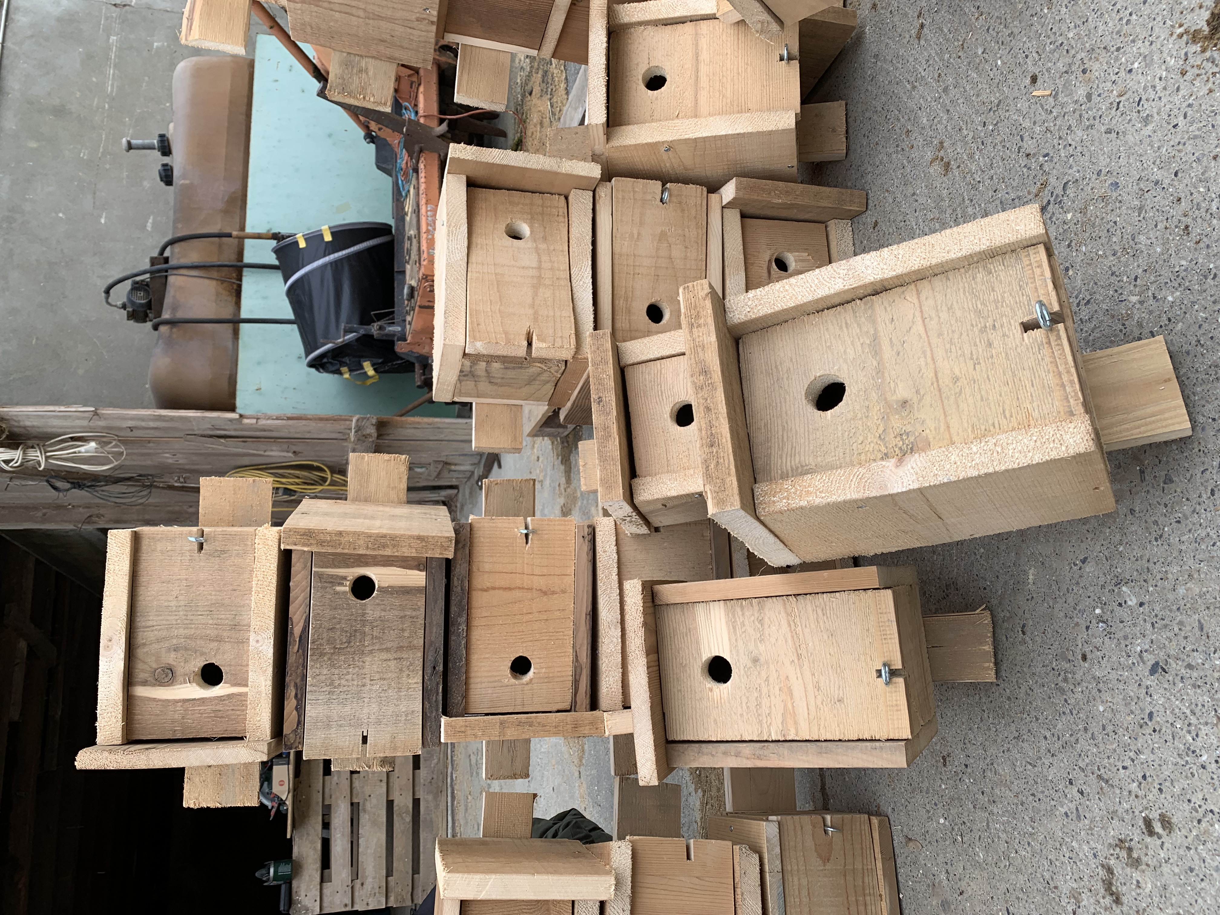 Les beaux nichoirs !