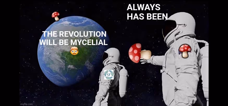 The revolution will be myceloal