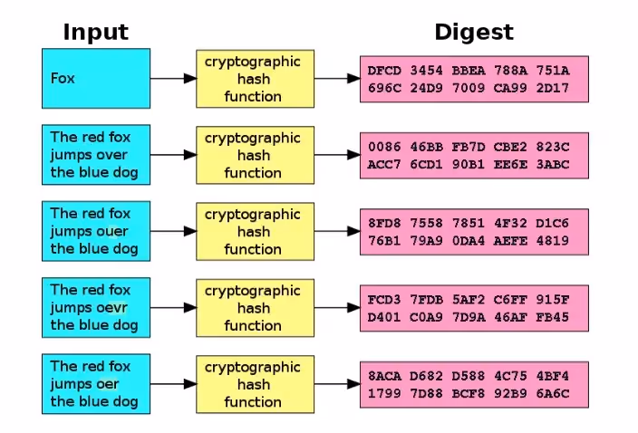 Example outputs (pink boxes) of the cryptographic hashing of data (blue boxes).