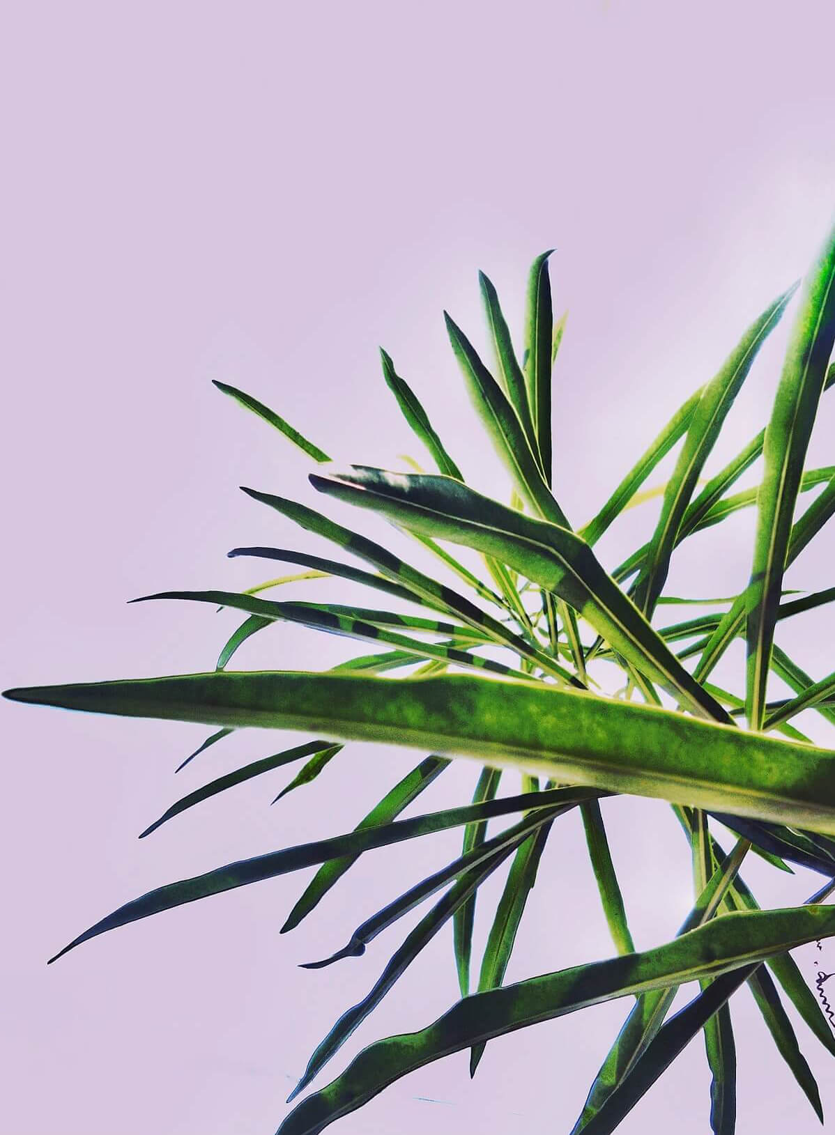 This article will take you through the different options and techniques