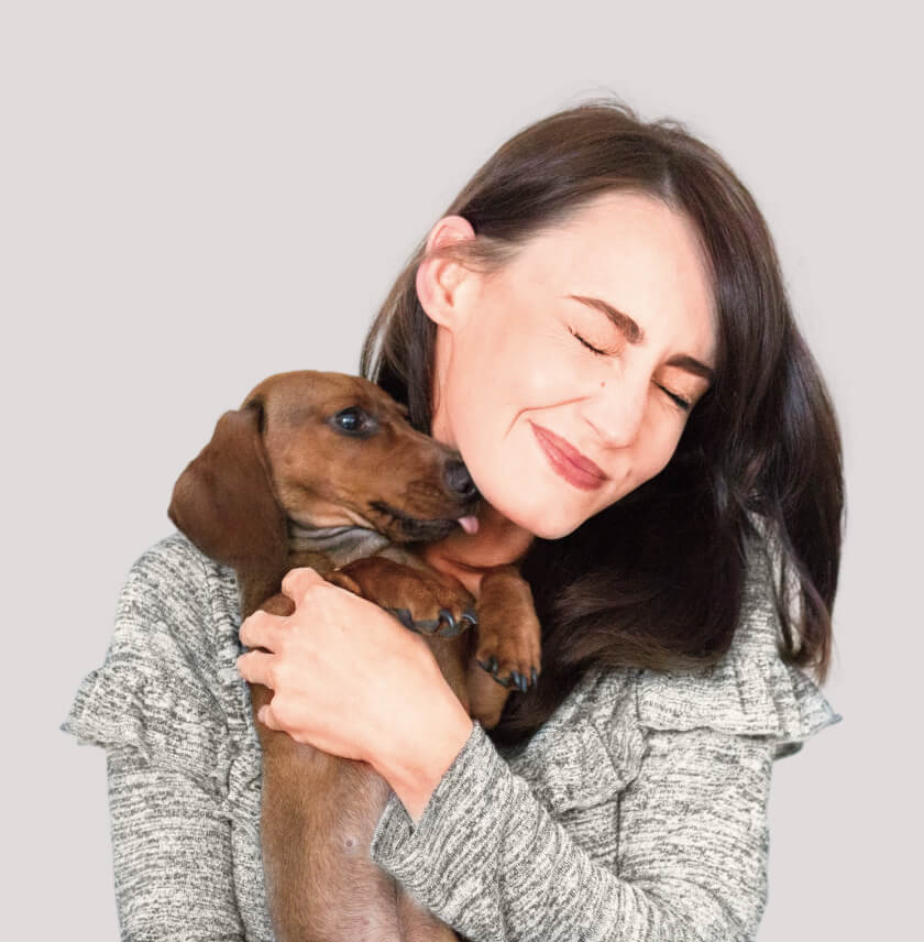 Testimonials - Veterinary X Webflow Template