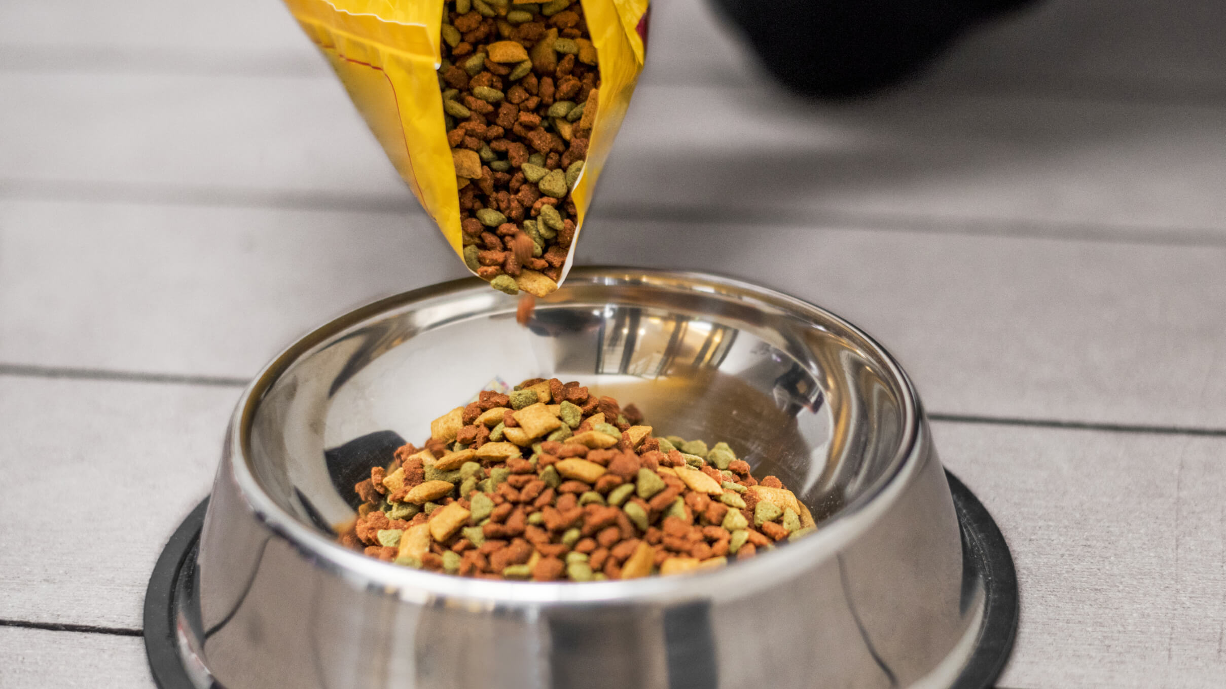 The best cat food, according to experts and veterinarians