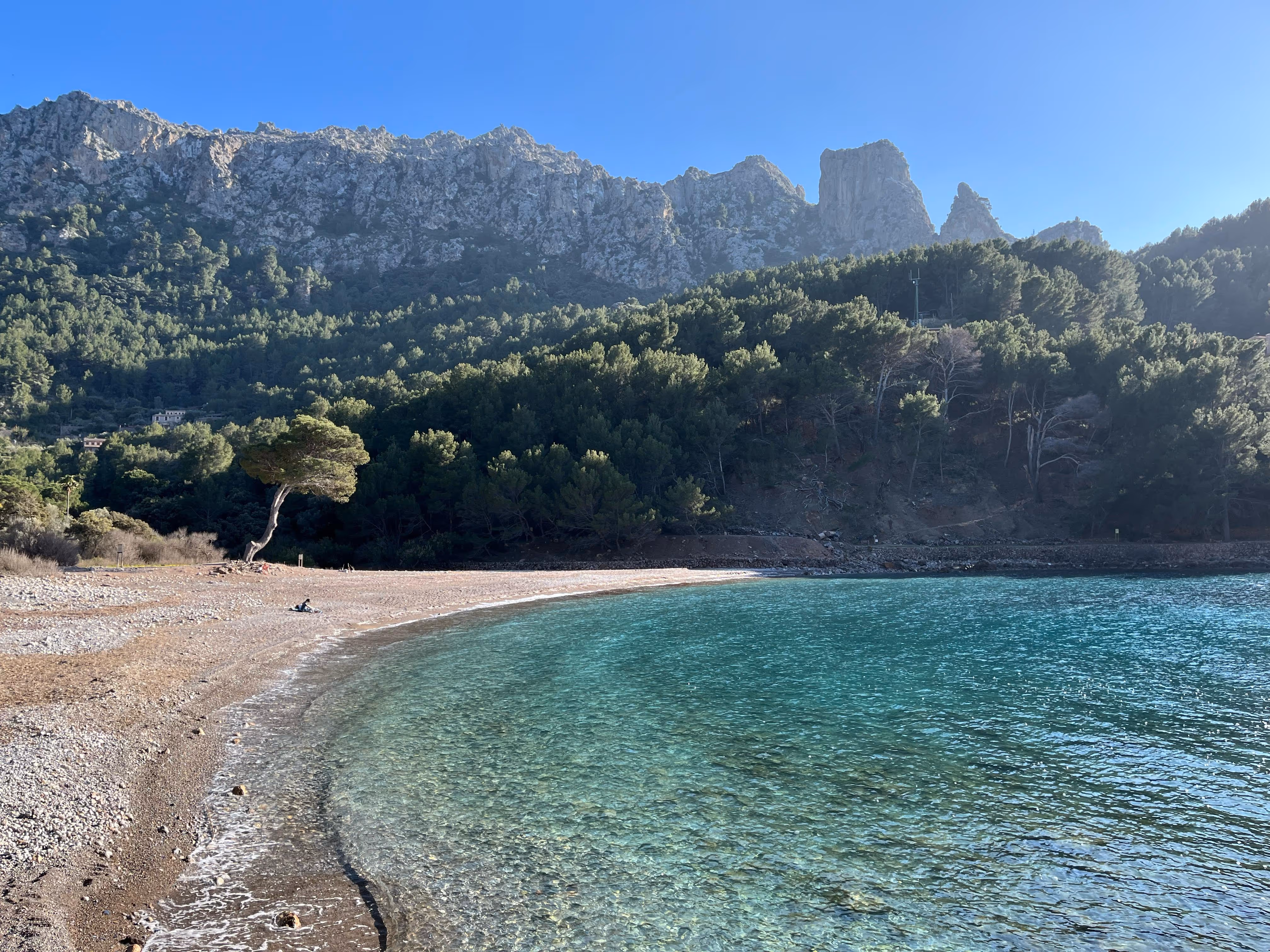 Secluded beach with turquoise water and dramatic mountain cliffs near Cala Tuent, surrounded by pine forest.