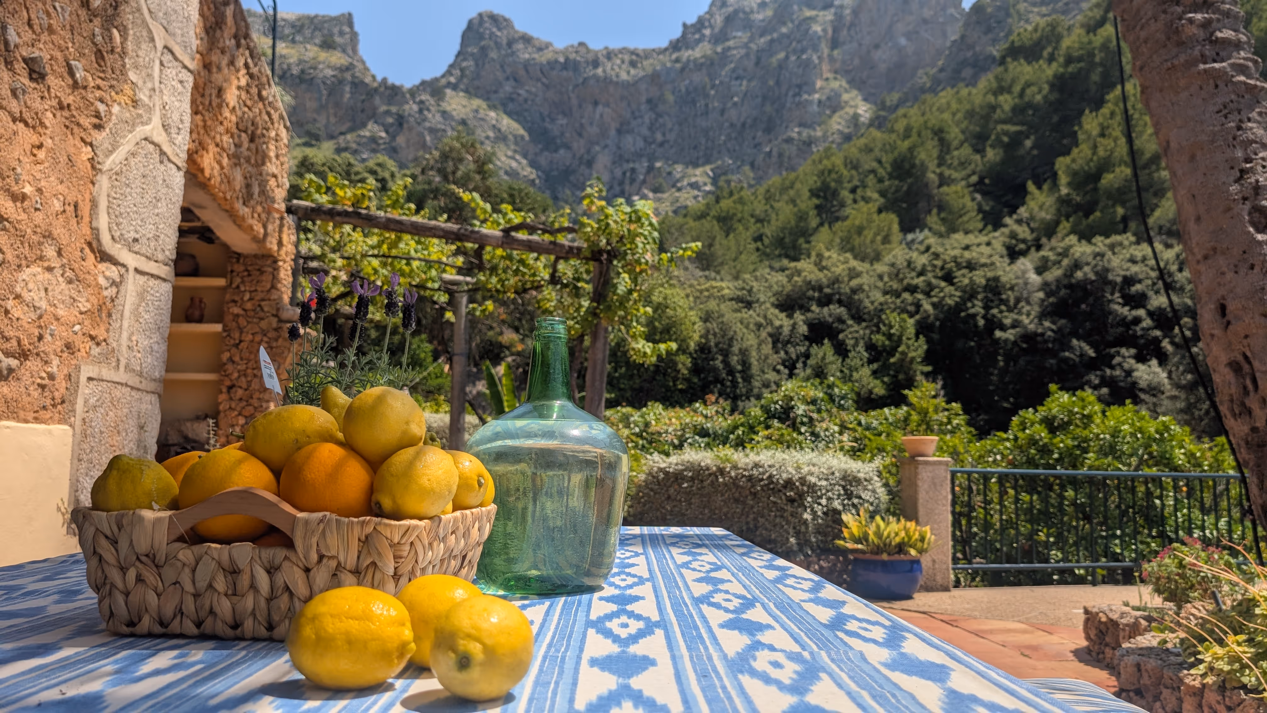 Rustic table with fresh lemons, oranges, and a glass water jug overlooking green mountains and a Mediterranean garden at Finca Higo.