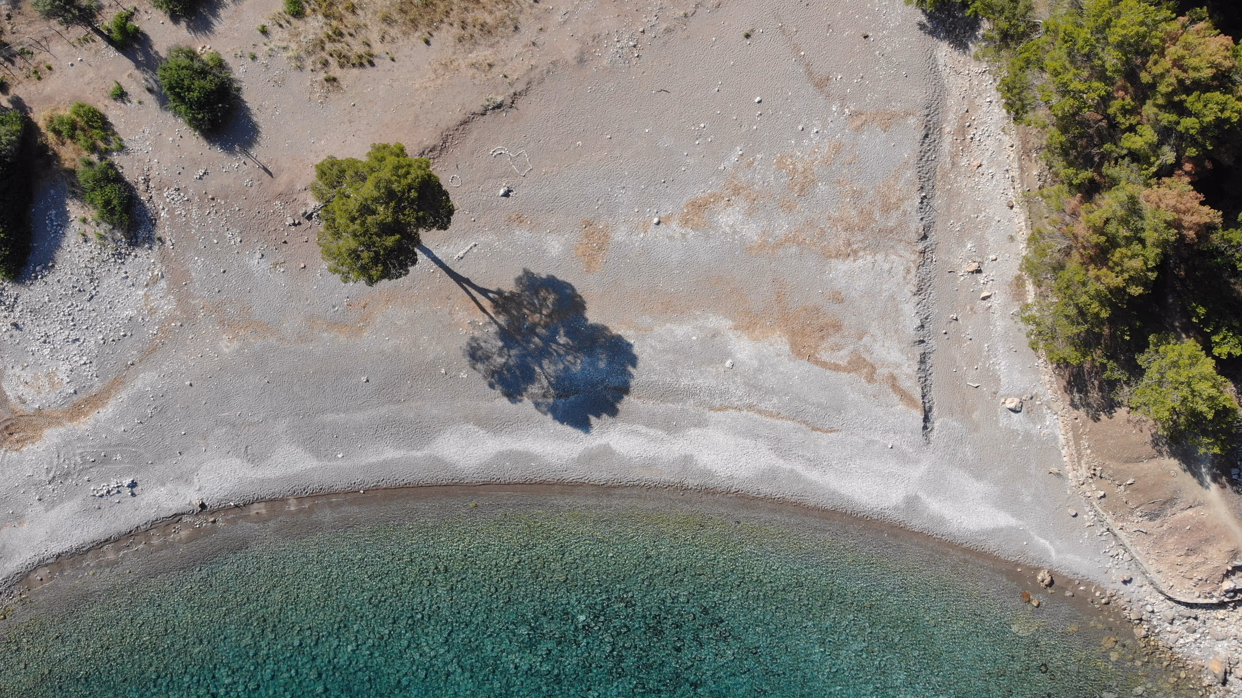 Aerial view of a quiet, curved pebble beach with clear turquoise water and a lone tree casting a shadow on the shore.