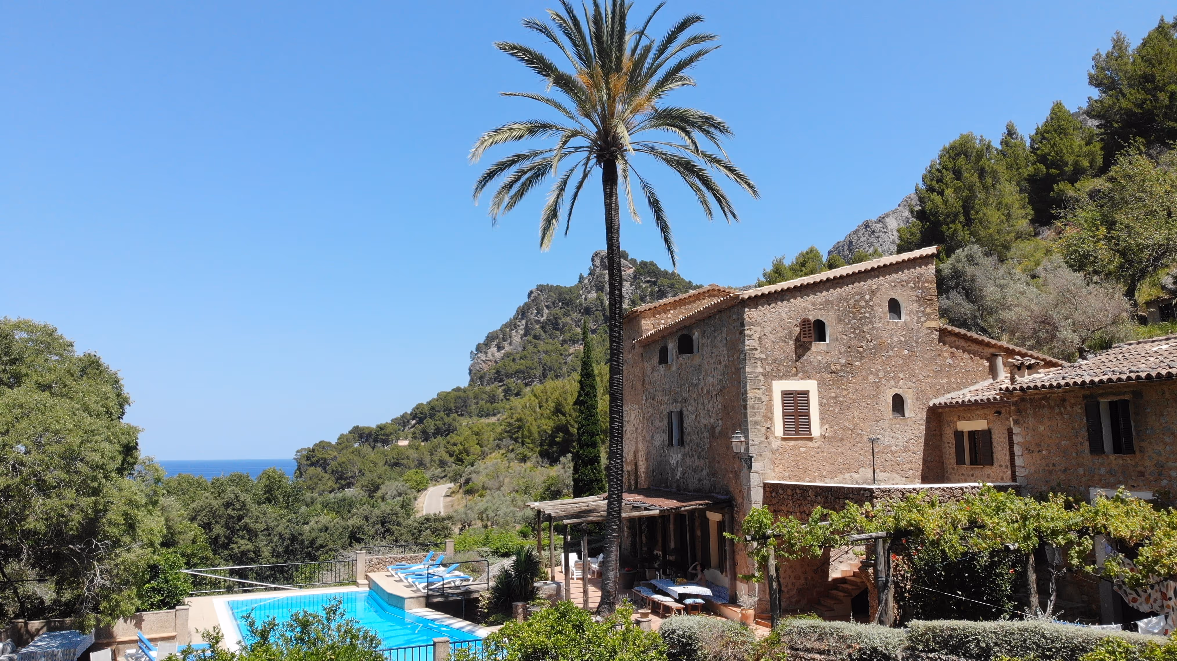 Finca Higo’s stone house with palm tree and pool, surrounded by green hills and mountain peaks in Mallorca.