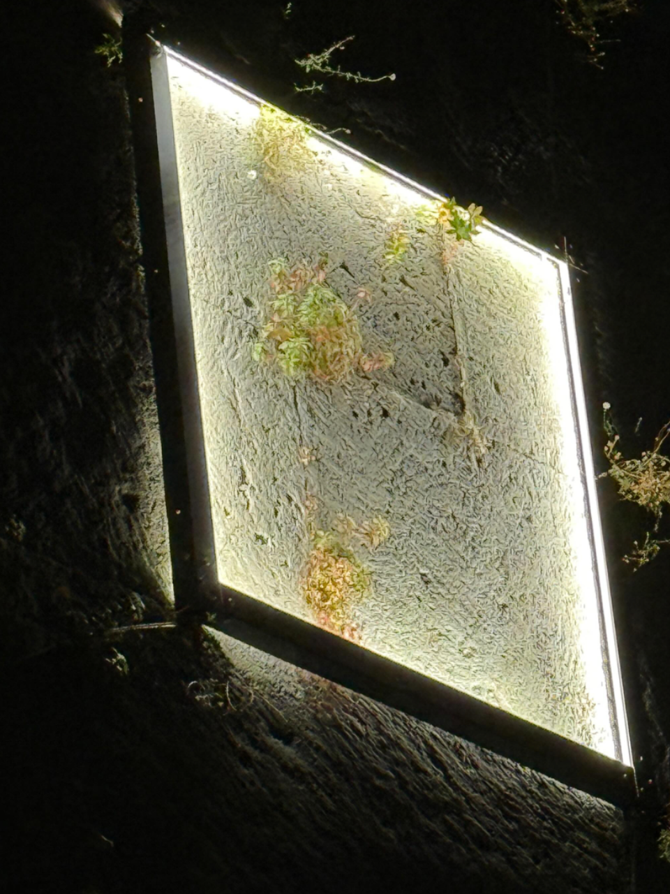 PROGETTO LUMINIS | 2025