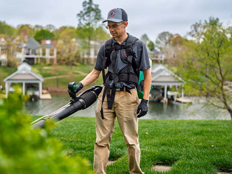 pest tech treating for mosquitoes