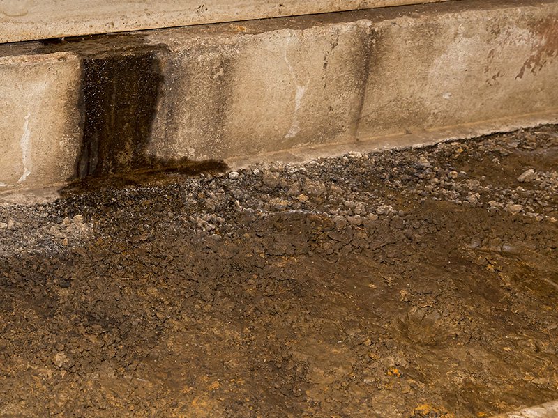 moisture in crawl space after spring rain