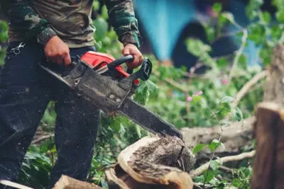 Chainsaw

