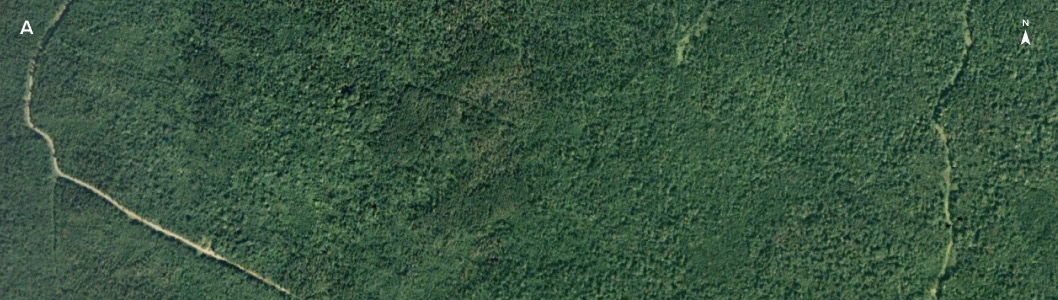 Satellite imagery before a harvest event (A)