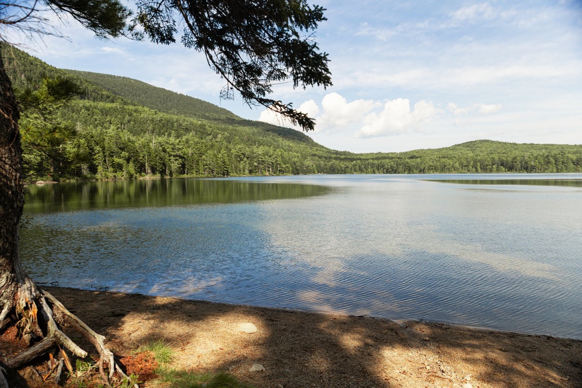 Forested lake within the Cassidy Timberlands project area