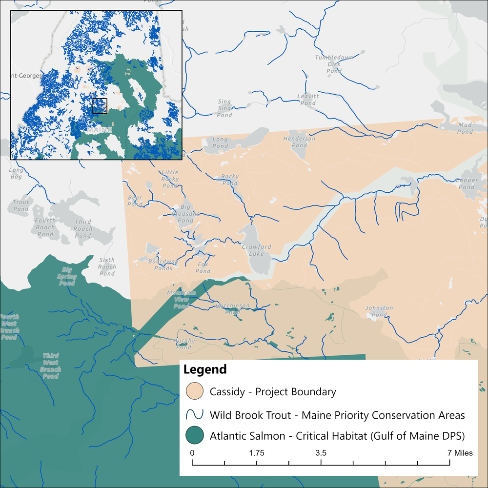 Map of wild brook trout and Atlantic salmon habitat within the Cassidy project boundary
