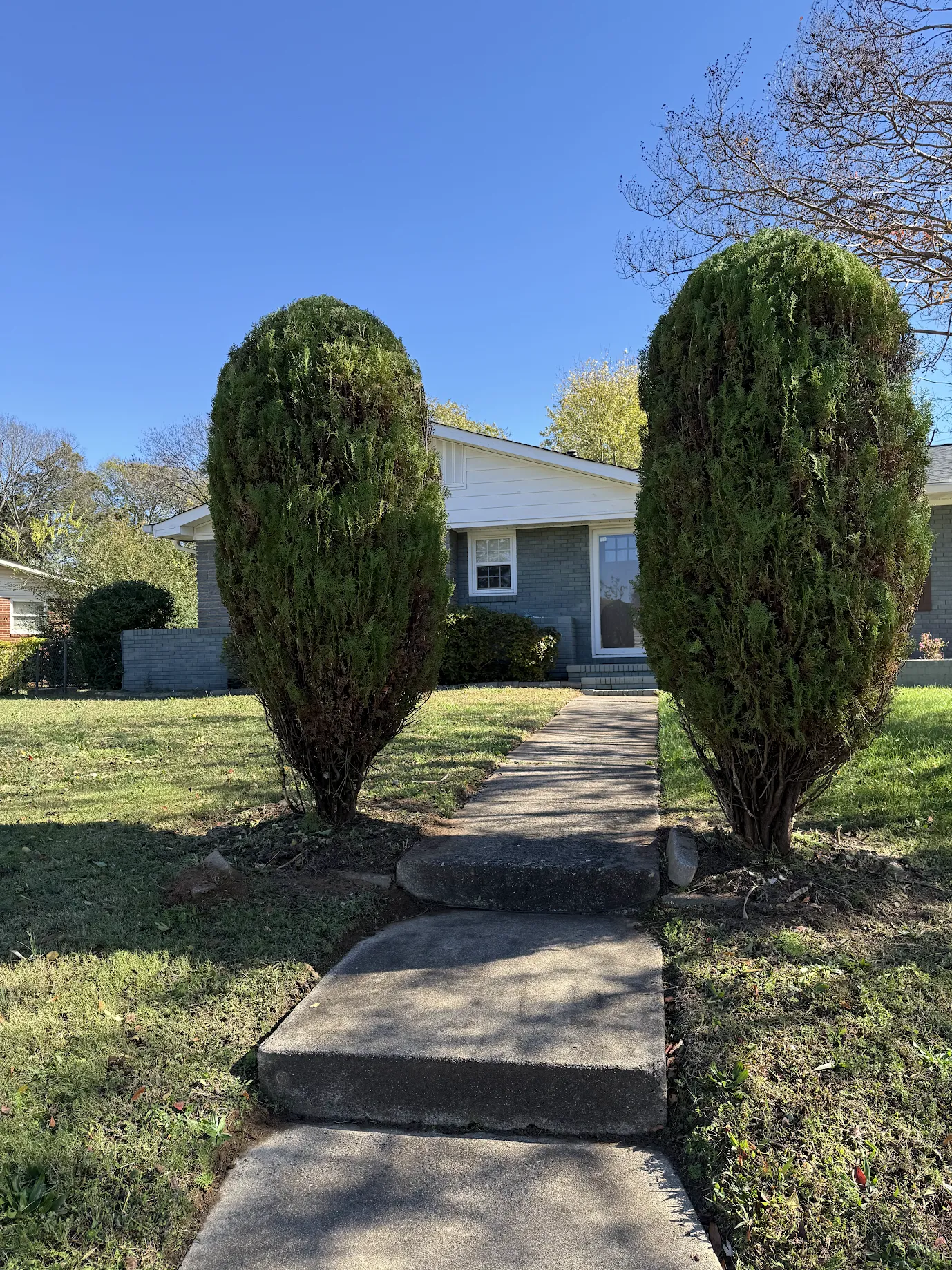 Stepped pathways curving up to the main home with two tall shrubs on each side of the path.