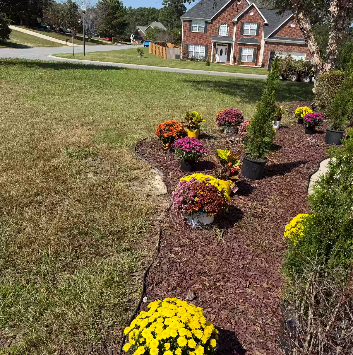 Small garden with shrubs and flowers on ground level mulch.
