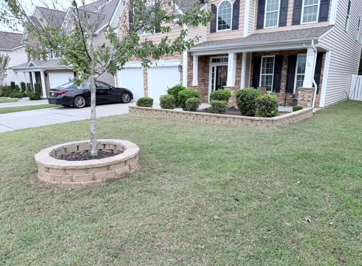 Front yard of a house with a tree circle and small raised garden.