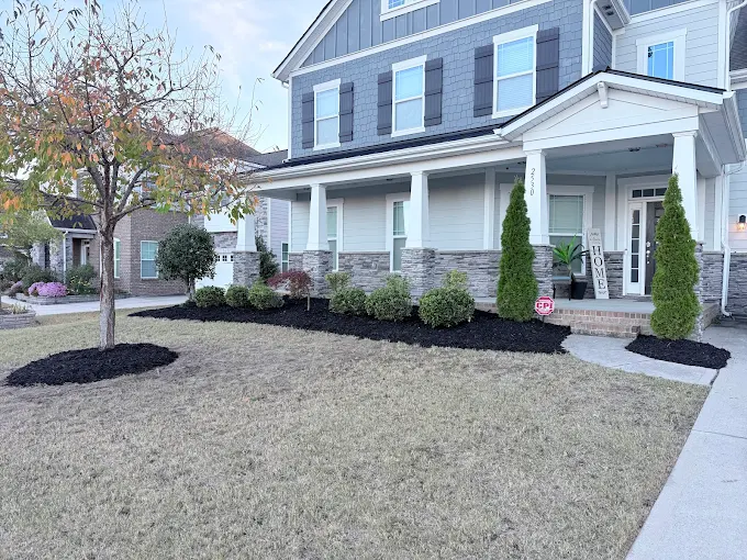 Mulch and shrubbery along front side of house.