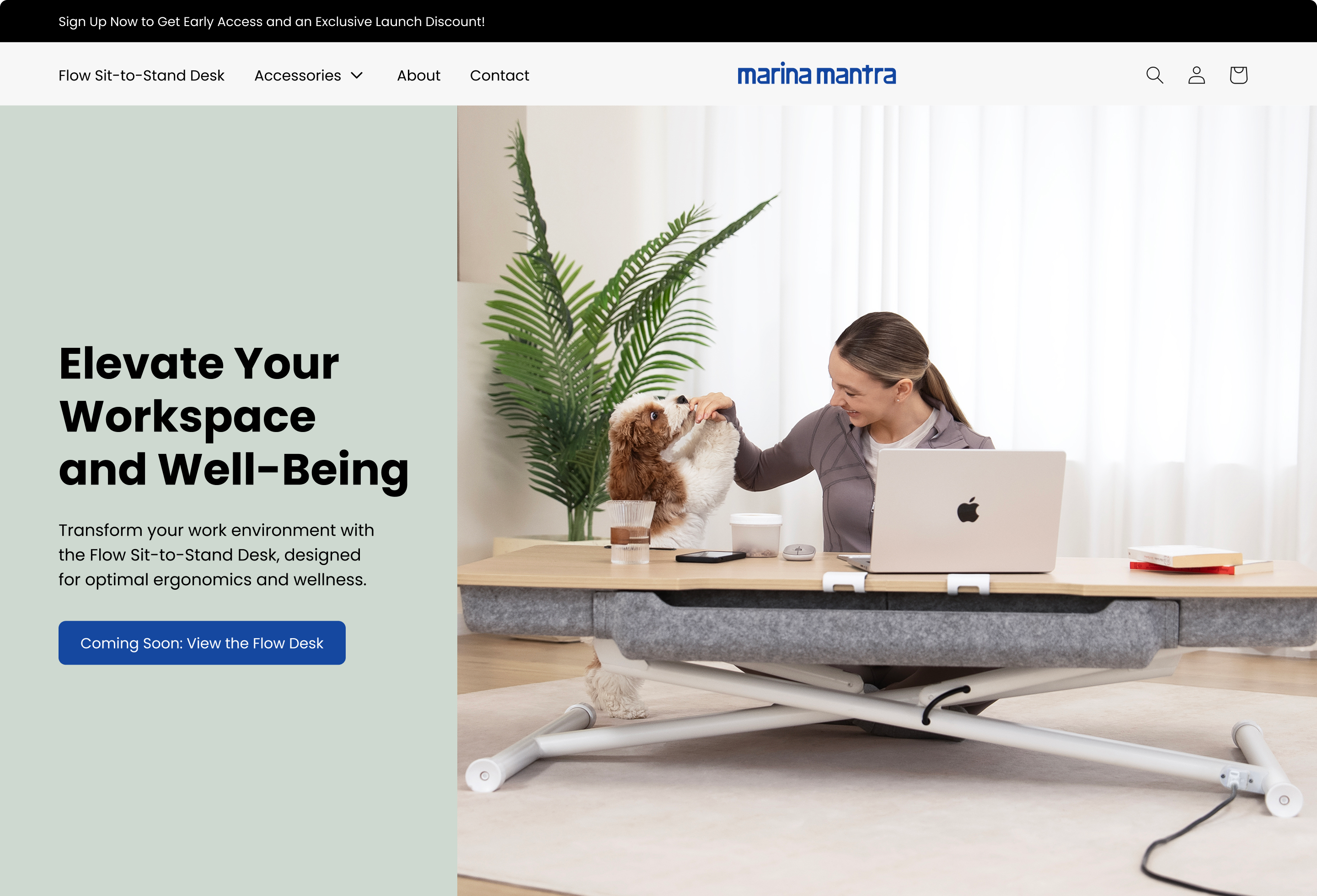 Ecommerce Web Design Project Image