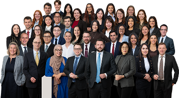 Australian Migration Lawyers Team