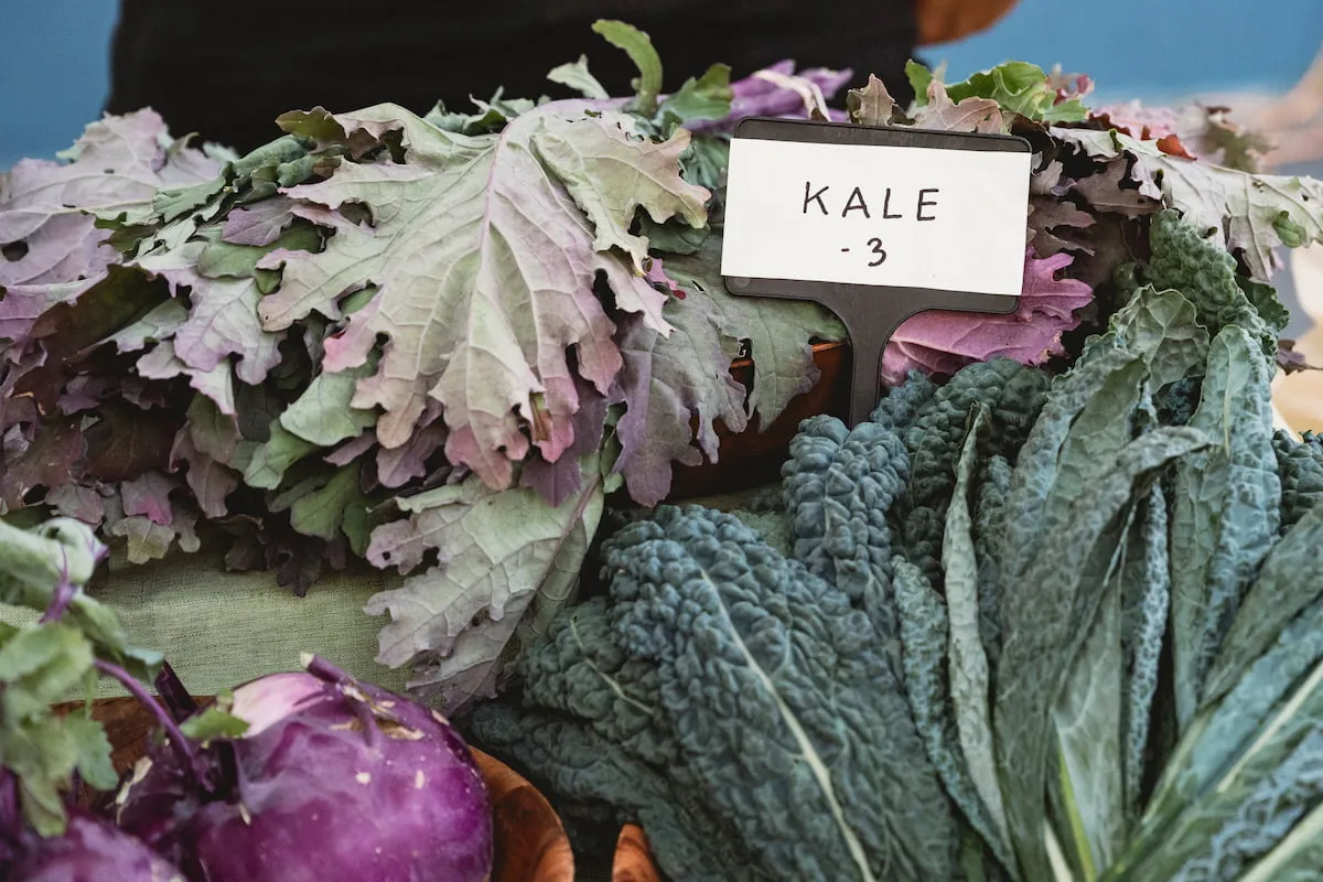 A local grower sells purple and green leafy vegetables.